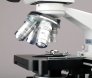 ams1300-amscope-b120c-e1-40x-2500x-led-digital-binocular-compound-microscope-w-3d-stage-1-3mp-usb-imager.5